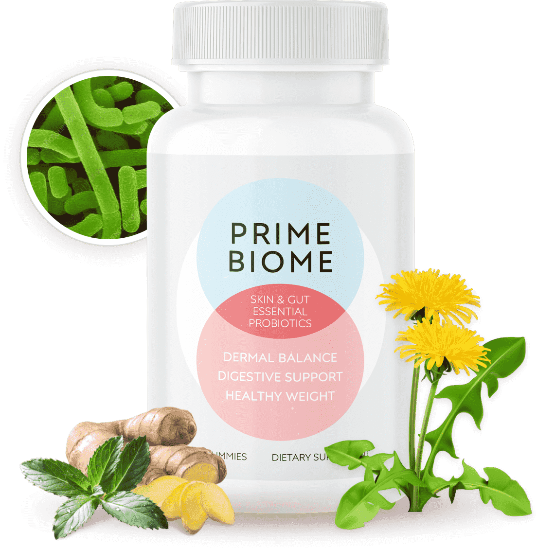 PrimeBiome gummies